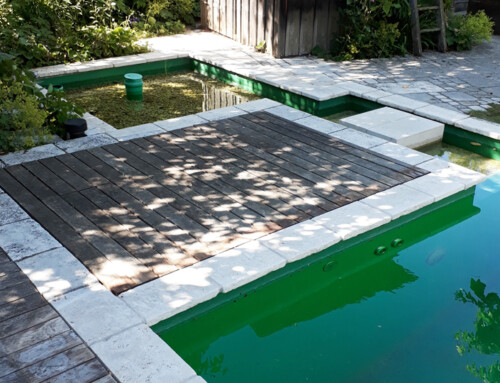 Naturpool
